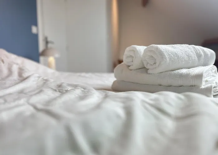 Hébergement de vacances La Bulle Mancelle - Maison Proche Gare - 7p